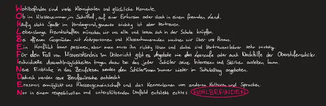So beschreiben Lilli Lanzmaier und Lena Steinegger Wohlbefinden. | Foto: BG/BRG Knittelfeld