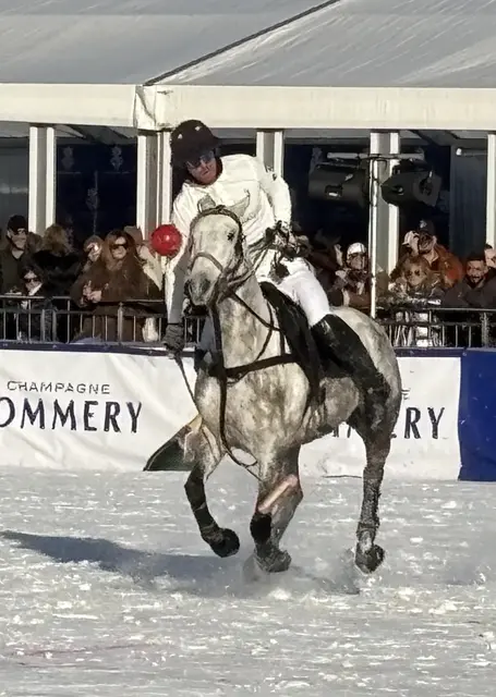 Foto: Nikolaus Kogler