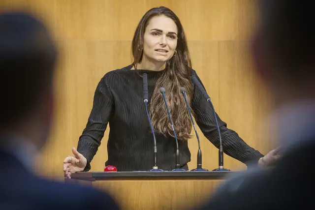 NR Barbara Neßler (GRÜNE) | Foto: Parlamentsdirektion/​Johannes Zinner