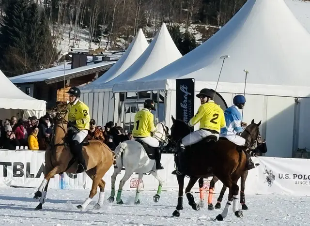 Foto: Nikolaus Kogler