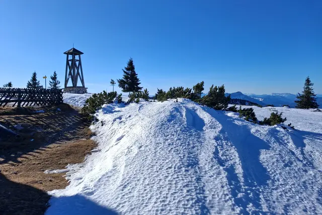 
Angewehte Schneewechte, beim Eingang zum Winterquartier.