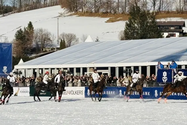 Foto: Nikolaus Kogler