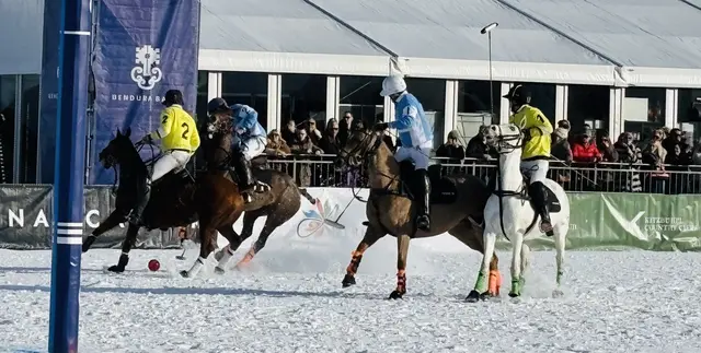 Rassige Polo-Action auf der Reither Wiese. | Foto: Nikolaus Kogler