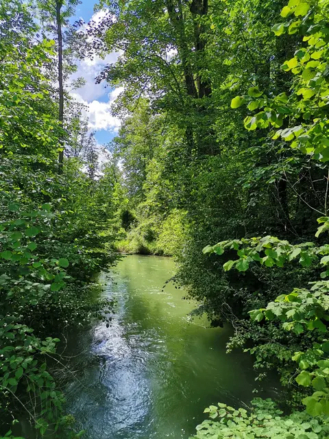 Raus ins Grüne. Die Natur tut der Seele tut und senkt nachweislich den Stresslevel.  | Foto: Martina Laserer