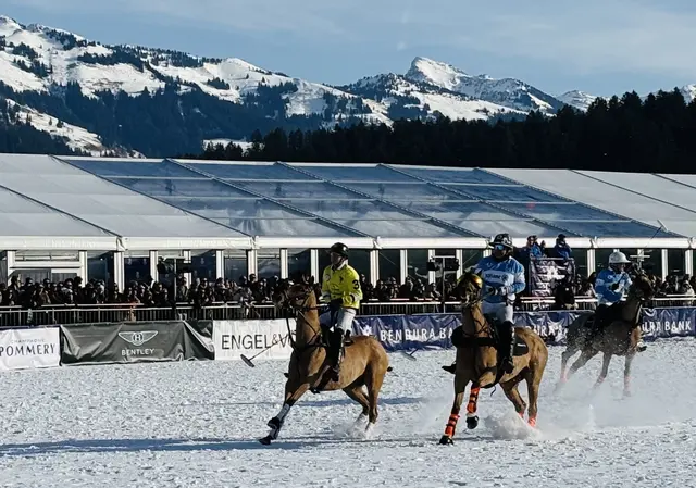 Foto: Nikolaus Kogler