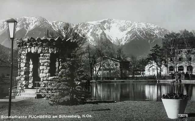 Eine Ansichtskarte aus den 60ern vom Kurparkteich in Puchberg mit Blick auf den Schneeberg. | Foto: P. Ledermann