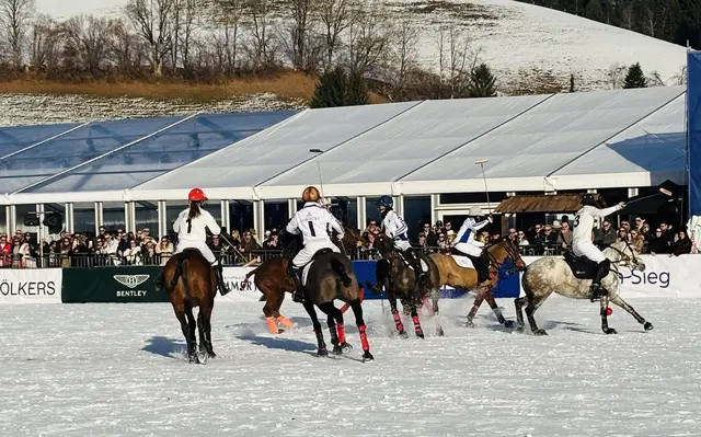 Foto: Nikolaus Kogler