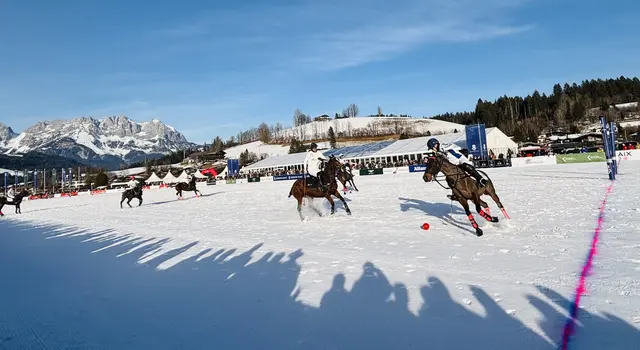 Foto: Nikolaus Kogler