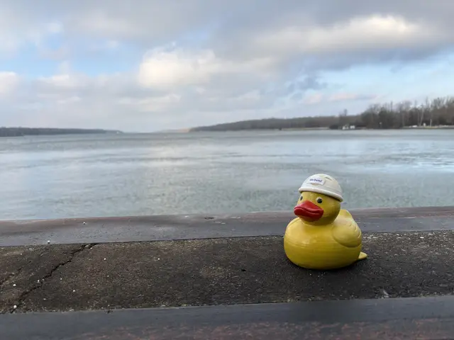 Die Wassertemperatur beträgt derzeit rund vier Grad. | Foto: Victoria Edlinger