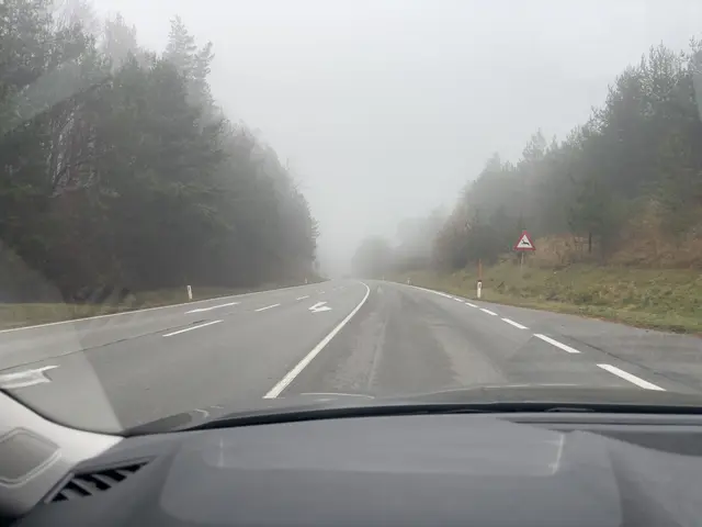Verfolgungsfahrt durch den Wienerwald: Der Fahrer fuhr in Mayerling ab, touchierte eine Leitrichtung und setzte die Flucht in Richtung Heiligenkreuz fort. | Foto: Lauren Fahrenberger / MeinBezirk