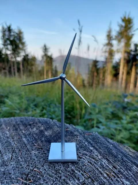 Martina Berthold meint: „Salzburg ist nur mit Windkraft komplett".
 | Foto: Die Grünen Salzburg