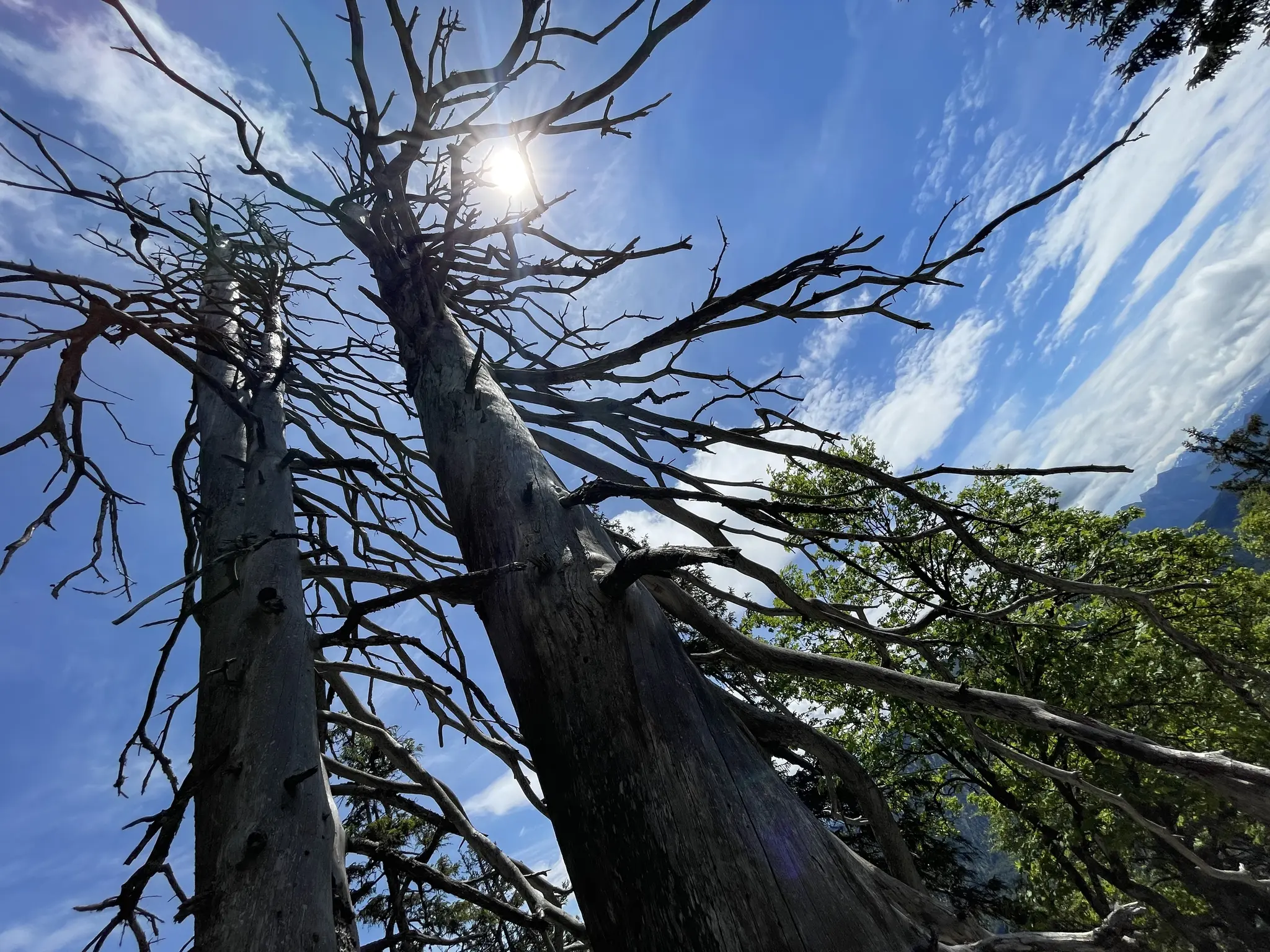 Zitate & Weisheiten : Die Erfahrung ... 