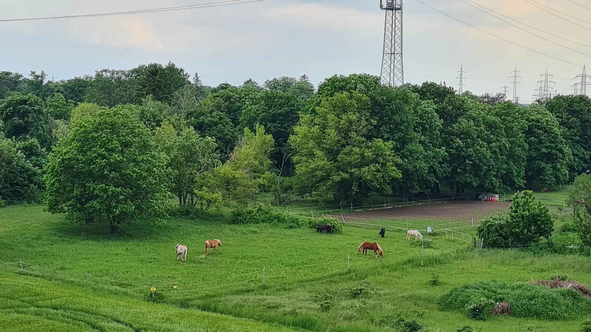 Simmeringer Grünfläche : Planung für Großprojekt am Weichseltalweg geht voran