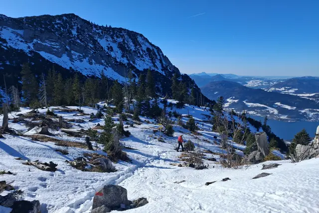 Beim Abstieg noch ein Blick zur Brennerin im Höllengebirge, die wir vor vielen Jahren auch schon gegangen sind.
