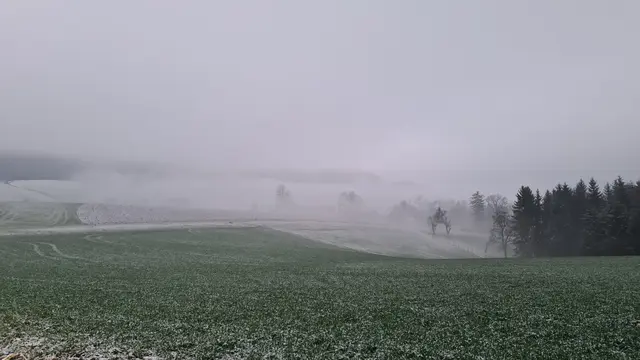 Der Nebel ist in den Anfangsstunden omnipräsent. (Symbolfoto) | Foto: Ronald Höbling