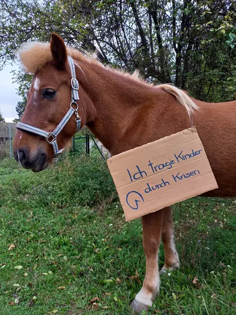 Die Tiere des Erlebnishofs haben bereits auf anderen Standorten ein neues Zuhause gefunden. (Archiv) | Foto: z.V.g.