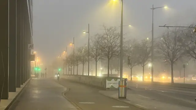 Hochnebel, frostige Temperaturen und zeitweise lebhafter Südostwind bestimmen weiterhin das Wettergeschehen in Wien. | Foto: MeinBezirk/Kevin Chi