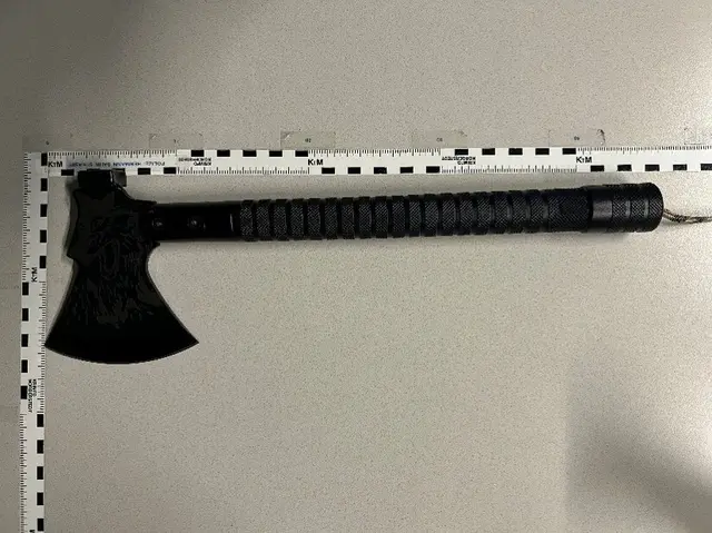 Mit dieser Axt sollen zwei Männer einen Taxilenker auf der Jedleseer Straße bedroht haben. | Foto: LPD Wien