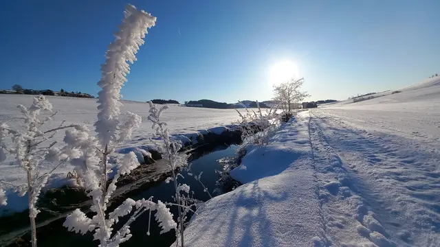 Die kleine Mühl in Peilstein 