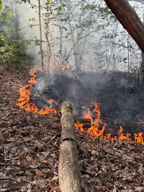 Foto: Stadtfeuerwehr Oberwart