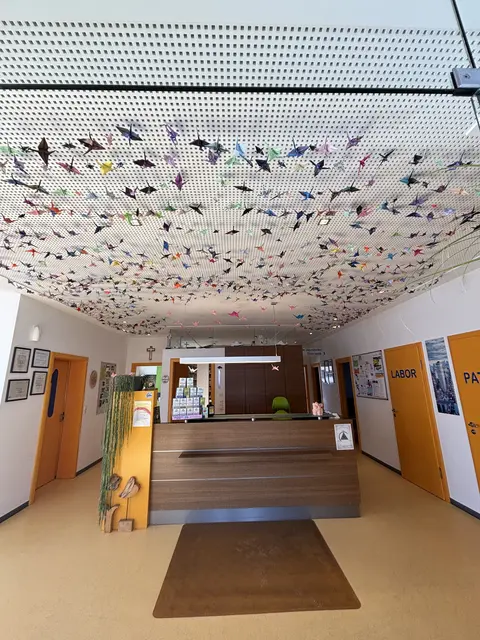 1.001 Kraniche schmücken die Ordination | Foto: MeinBezirk