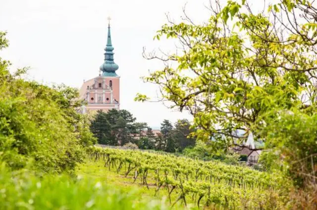 Die Landschaft rund um Poysdorf bietet ideale Bedingungen für Rad- und Wandertourismus.  | Foto: Martin Grabmayer