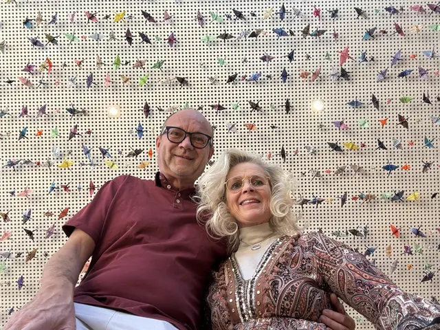 Gheorghe und Martina Hadwiger unter ihren 1.001 Kranichen. | Foto: MeinBezirk