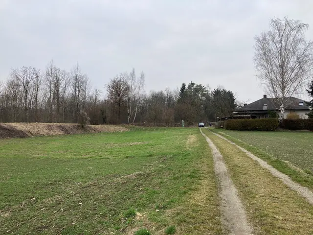 Der alte Hochwasserschutzdamm, Stand Februar 2024 | Foto: Gemeinde Ennsdorf