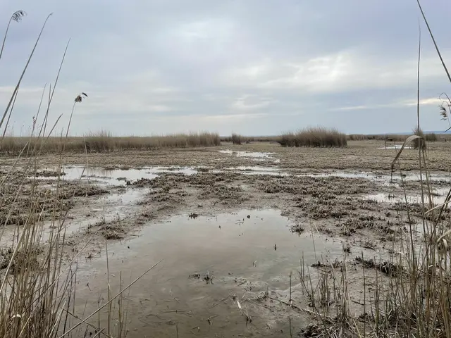 Das Land Burgenland verdoppelt die amtlichen Naturschutzorgane. | Foto: Kathrin Haider