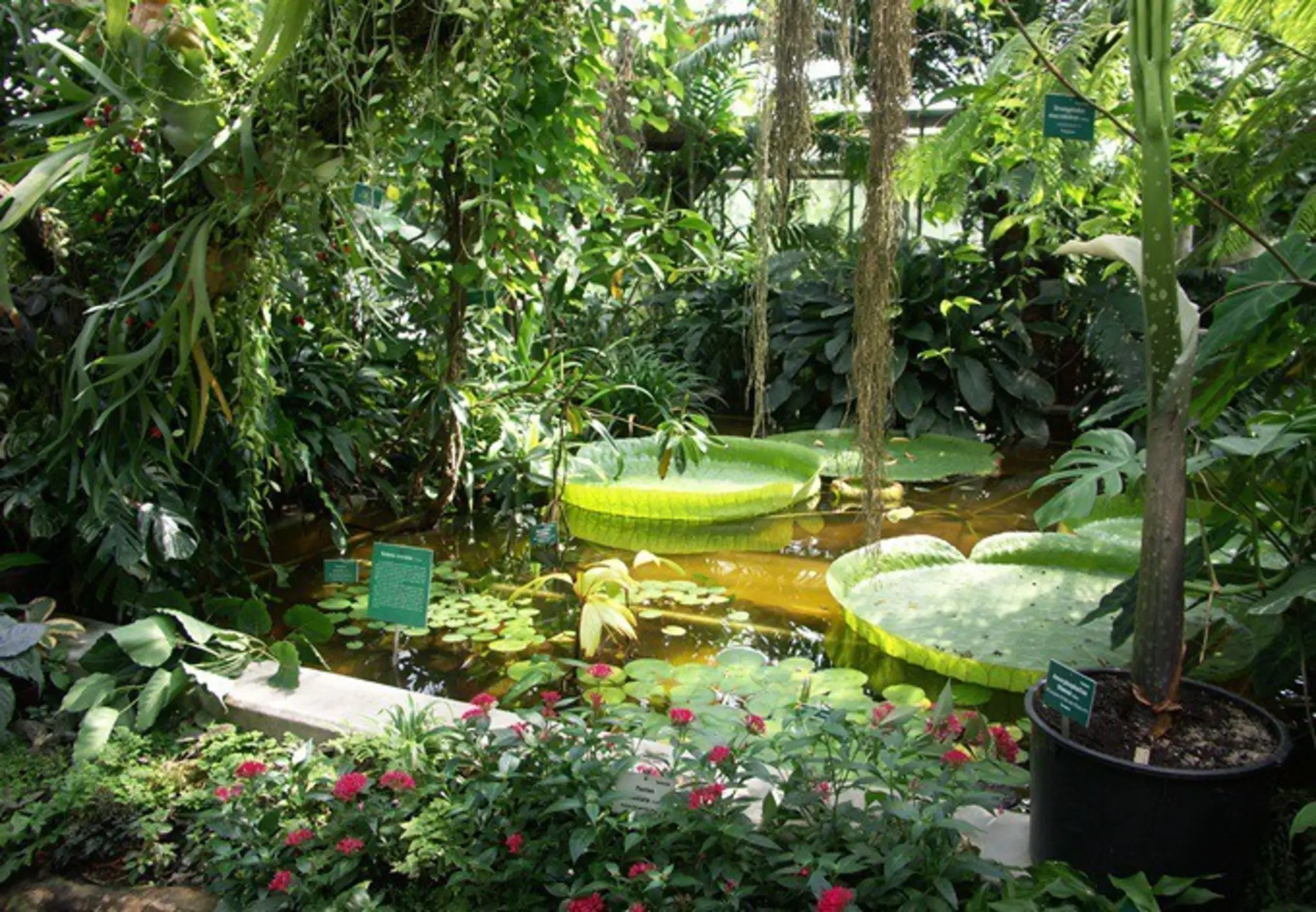 Events für Groß und Klein : Was sich 2026 im Botanischen Garten Linz erleben lässt