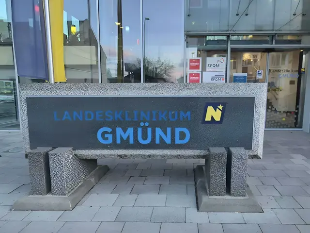 Vor dem Landesklinikum Gmünd findet am Freitag eine Demo statt. | Foto: Archiv/Pilz