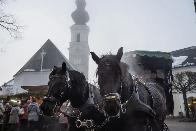 Foto: Fuschlseeregion