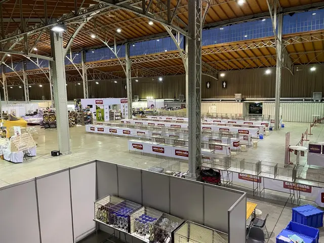 Unterschiedliche Katzen und Rassen bekommen in der Marx Halle ihren großen Auftritt. | Foto: ÖVEK