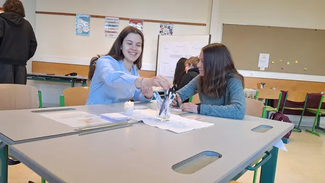 Foto: (c) Bundesgymnasium Babenbergerring