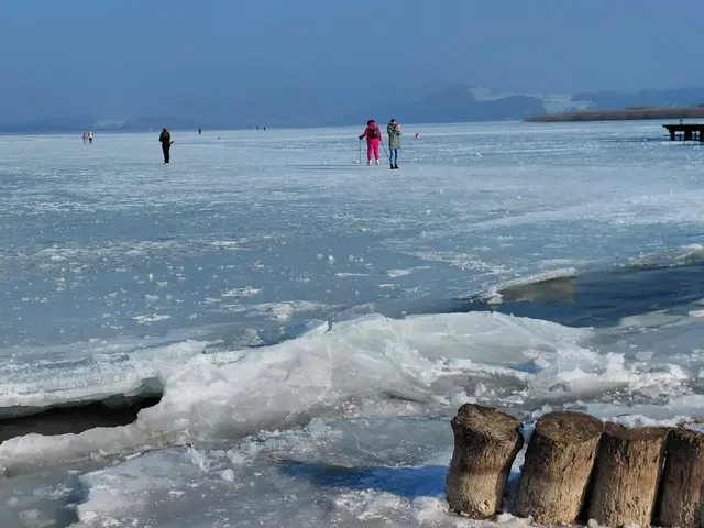 Wallersee  | Foto: H.Bachinger