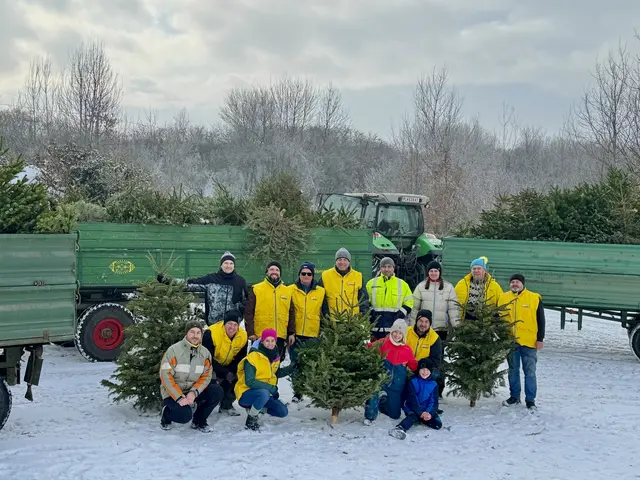Tatkräftige Unterstützung bei der Christbaumabholung in Perschling.  | Foto: Gemeinde Perschling