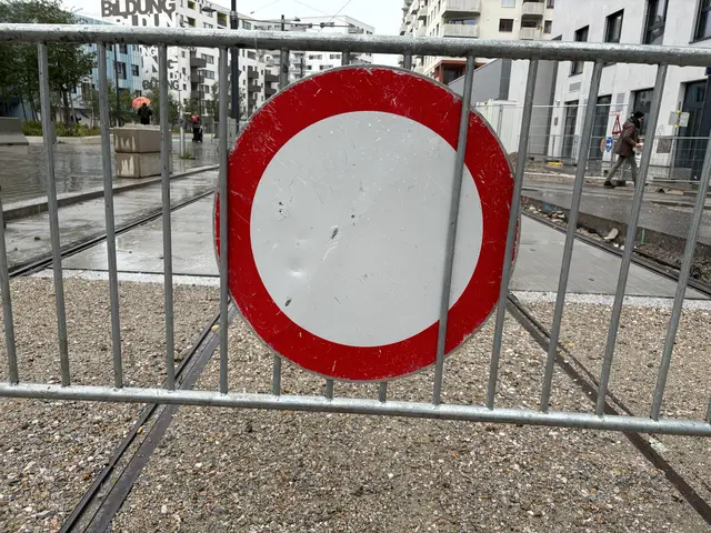 Am Samstag gibt es gleich drei Demos, die in der Wiener Innenstadt für ein Verkehrschaos sorgen werden. (Symbolfoto) | Foto: Johannes Reiterits/MeinBezirk