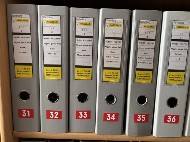 Gregor Fuchs sortierte die Ordner nach Kategorien, Zeiträumen und Namen.  | Foto: MeinBezirk