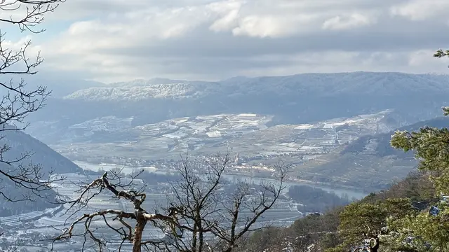 Von der Starhembergwarte nach Weißenkirchen