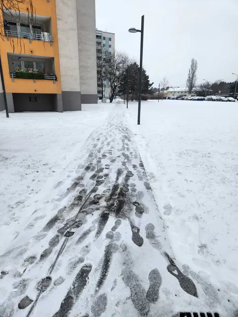 Die Wegräumung habe in den vergangenen Wochen nicht funktioniert, wie Bilder der Anrainerinnen und Anrainer zeigen.  | Foto: z.V.g.