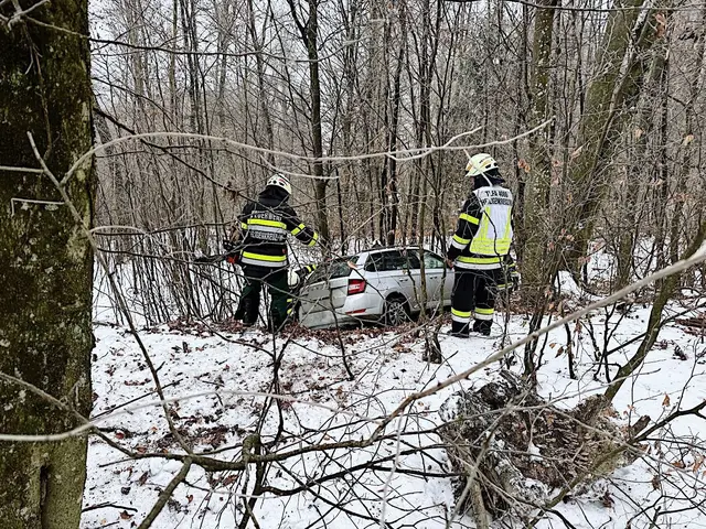 Ein Pkw kam aus bislang ungeklärter Ursache von der Fahrbahn ab und blieb nach rund 30 Metern in einem Waldstück zum Stillstand. | Foto: FF Heiligenkreuz/W. – Stumpf