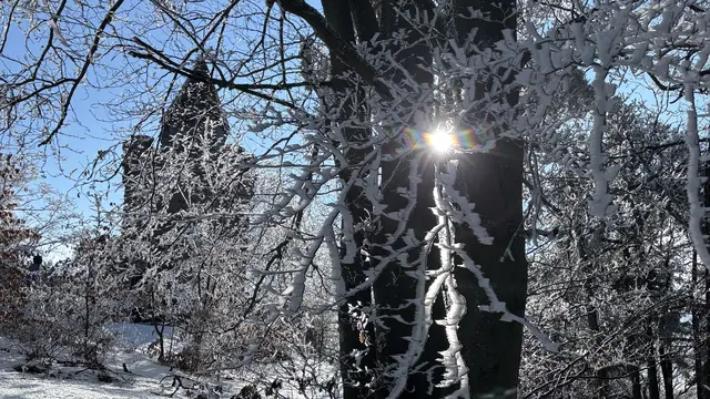 Zur Starhembergwarte oberhalb von Dürnstein