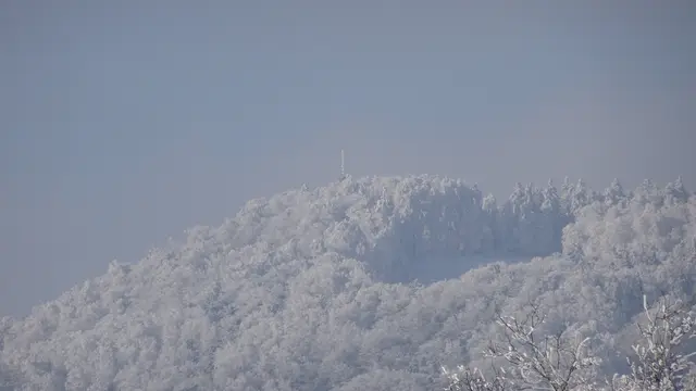 Weiglwarte / Sandl (723) / Sandlbauer-Wiese