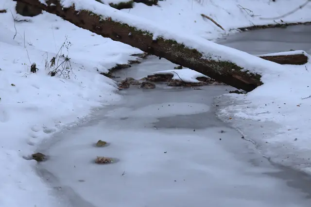....die Stille des Winters mag ich sehr.