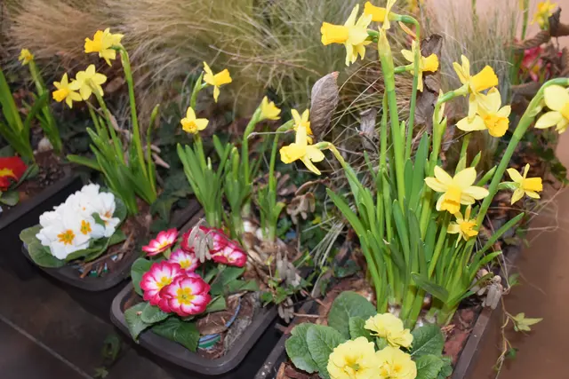 Foto: Robert Zinterhof