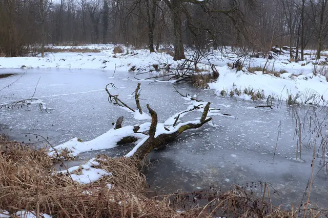 ....WINTER-NATURLANDSCHAFT