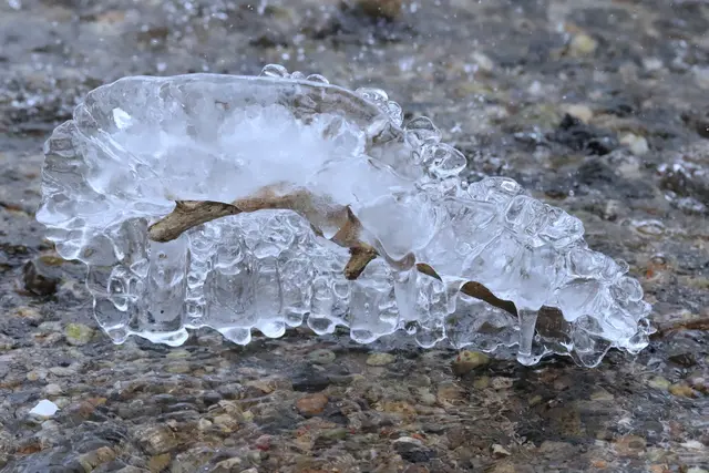 .... der kleine Ast hat eine schwere Last zu tragen.
Was könnte das sein?😉
