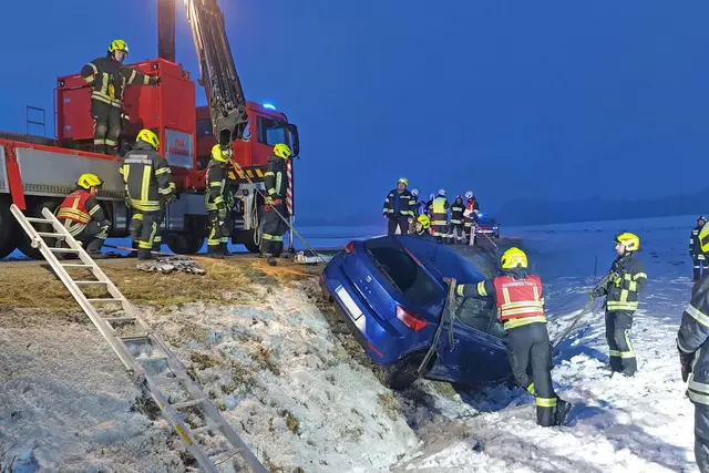Bergung durch die Feuerwehr | Foto: FF Waidhofen/Thaya