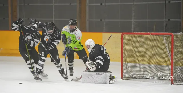 Foto: Thomas Werchota