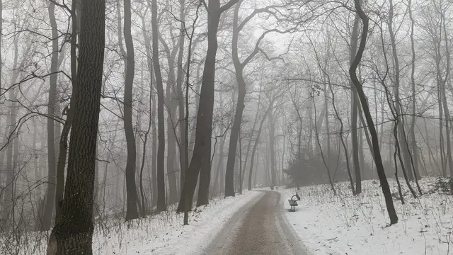 Die Wege im Park waren laut der Bewohnerin wunderschön anzusehen und trotz des Eisregens ungefährlich begehbar. | Foto: Z.V.g.
